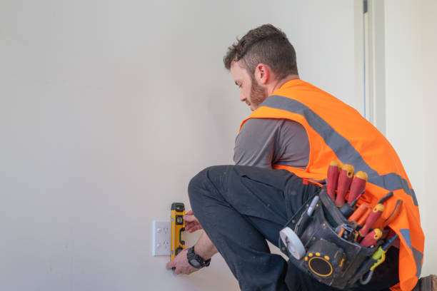 Best Electric Panel Repair  in Morrison, IL